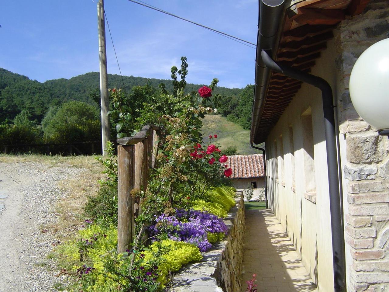 Podere Le Ghiande CastellʼAzzara Exterior foto