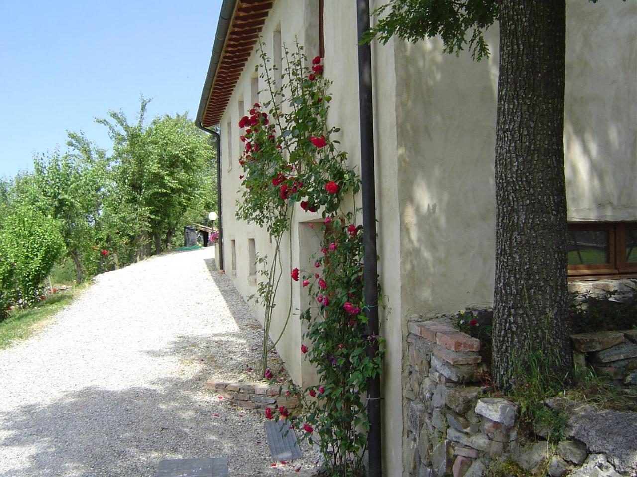 Podere Le Ghiande CastellʼAzzara Exterior foto